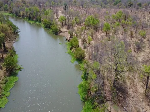 Flying Down Zambia River Video stock 84109481