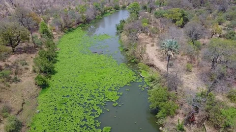 Flying Down Zambia River Video stock 84109958