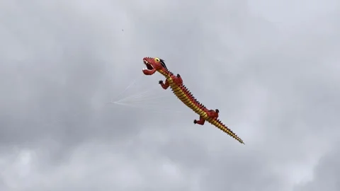 A flying dragon kite fights the wind Video stock 320251897