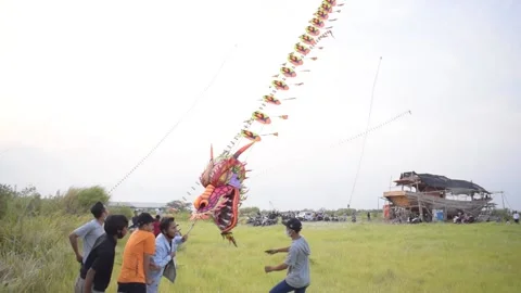Flying a Dragon Snake Kite Stock Footage 162231397