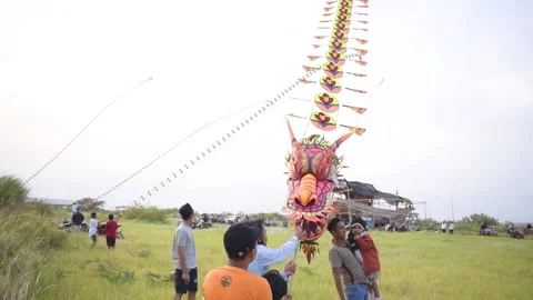 Flying a Dragon Snake Kite Stock Footage 162231405