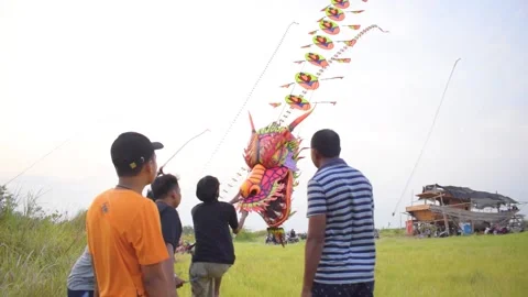 Flying a Dragon Snake Kite Stock Footage 162231416