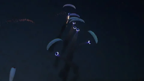 Flying Dragons Split Formation amid Ground Pyrotechnics Stock-Footage 344794773