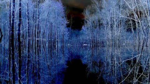 Flying in a dream.  Vidéo 82841338