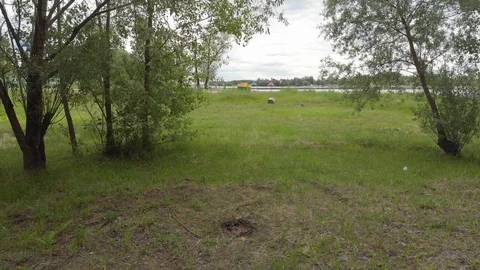 Flying on a drone along the trees Stock Footage 90709074