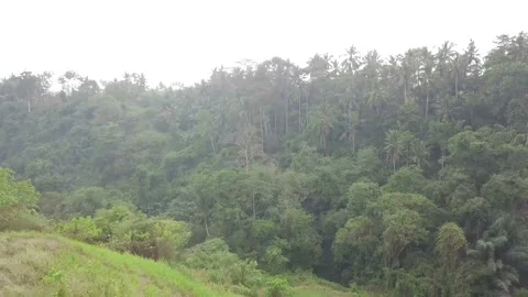 Flying drone captures the forest and nature of Indonesia. Stock Footage 155972674