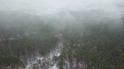 Flying drone flying over the forest in the clouds Video stock 84381875