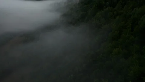 Flying drone in the fog through the trees Stock Footage 116664954