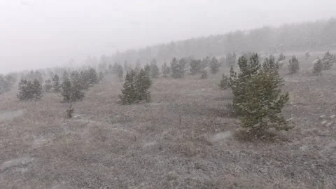Flying a drone in the forest above the trees during a snowfall Stock Footage 310999800