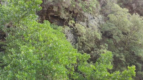 Flying drone in the forest Stockbeeldmateriaal 120743003