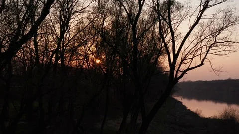 Flying drone in forest next to river at sunset time. Cinematic shoot in 4k. Stock Footage 127393896