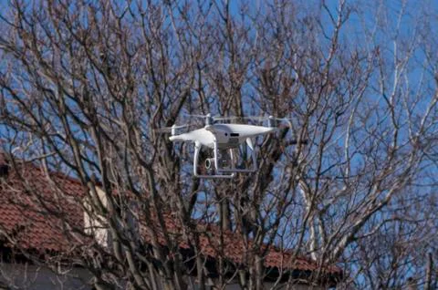 Flying drone in front of branches Stock Photos
