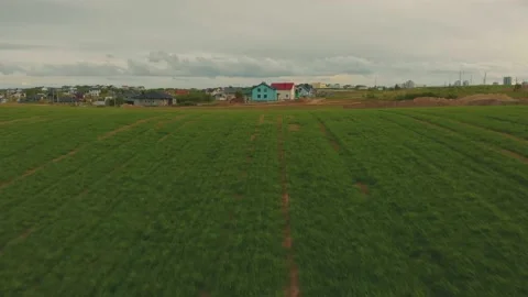 Flying a drone to the house through the field Stock Footage 130636077