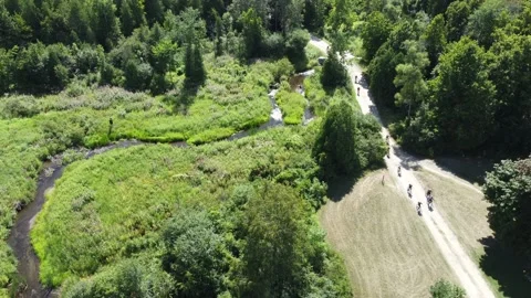 Flying Drone Just Over Park with Cyclists Generic footage B-roll video Stock Footage 207831723