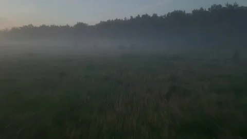 Flying a drone at low altitude through the fog over the morning meadow. Stock Footage 197077147
