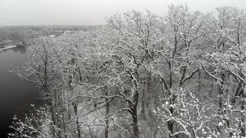 Flying a drone low over the bare branches of trees with snow patches near a 스톡 동영상 135293747