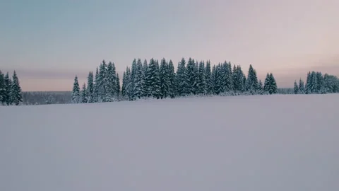 Flying a drone low over the snow cover and gradually climbing . Stock Footage 167761179