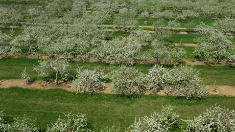 Flying with a drone, mid-air in the beginning then rising Stock-Footage 164934910