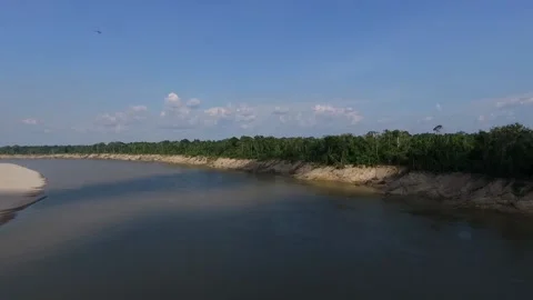 Flying drone over amazon river with wildlife birds Stock Footage 201146054
