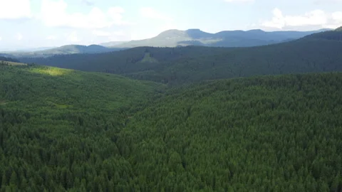 Flying with a drone over the beautiful forests lanscape of Transylvania.4K Stock Footage 157651621