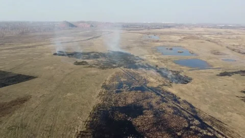 Flying a drone over a burning field with grass. Stock Footage 152719136