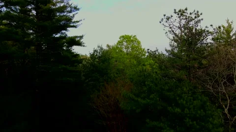 Flying a drone over East Hampton, Suffolk County, New York State 库存影片 131059507