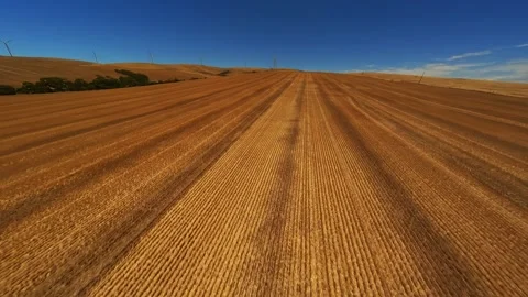 Flying on a drone over a field in Australia, wind turbines in the background. Stock Footage 247391729