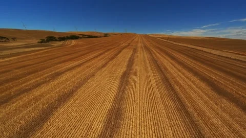 Flying on a drone over a field in Australia, wind turbines in the background. Stock Footage 247391769