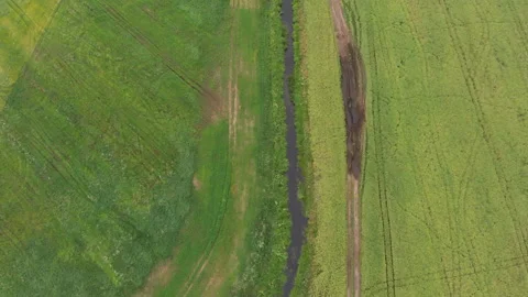 Flying a drone over a field of whea Stock Footage 135521827