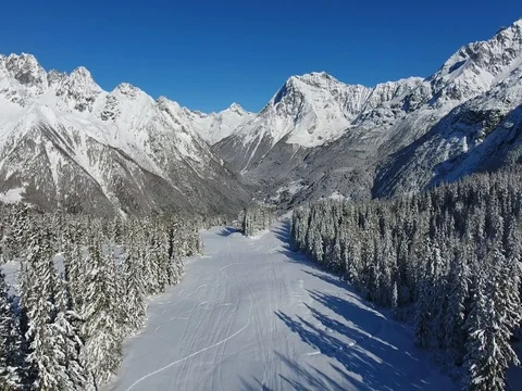 Flying with drone over the forest Stock Footage 75465227