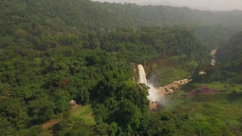 Flying a drone over the forest in the Melong region, Cameroon Stock Footage 258367662