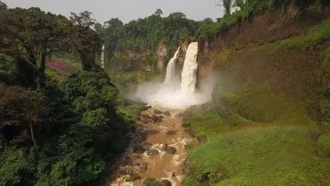 Flying a drone over the forest in the Melong region, Cameroon Stock Footage 258369561