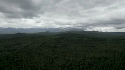 Flying on a drone, over a forest in Russia, coniferous forest, hill Stock Footage 167763402