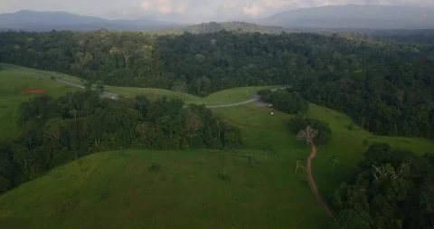 Flying by drone over grass field and curvy road in the middle in forest Stock Footage 111301975