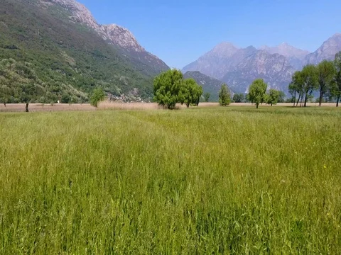 Flying with a drone over the green meadow in the natural reserve Stock Footage 74885210