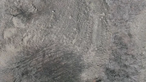 Flying drone over a hillside in the fall on a sunny day Stock Footage 106196985