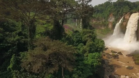 Flying a drone over the jungle in the Melong region, Cameroon Stock Footage 258373431