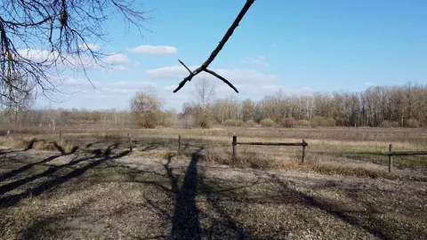 Flying on a drone over a meadow Video stock 127709860