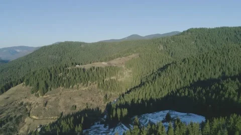 Flying with a drone over mountain trees Stock Footage 222362073