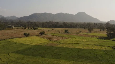 Flying on a drone over the mountains with tea plantations. Big rocks. Sunny weat Stock Footage 104857647