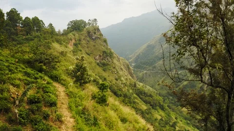 Flying on a drone over the mountains with tea plantations. Big rocks. Sunny weat Stock Footage 104857651