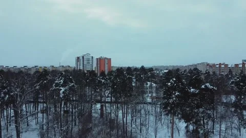 Flying a drone over the park in winter Video stock 168925796