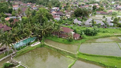 Flying with Drone over Rice Fields and Houses on island Bali - Indonesia 스톡 동영상 124902969