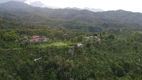 Flying with Drone over Rice Fields and Houses on island Bali - Indonesia 스톡 동영상 124907479