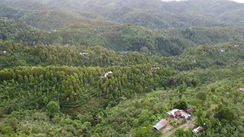 Flying with Drone over Rice Fields and Houses on island Bali - Indonesia Stock Footage 124907542