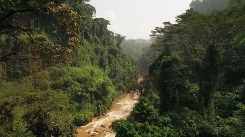 Flying a drone over a river in the Melong region, Cameroon Stock Footage 258370776