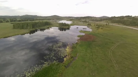 Flying drone over a small lake with reeds. Stock Footage 113966790