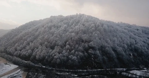 Flying drone over snowy trees in beautiful mountains in the fog 動画素材 122602442