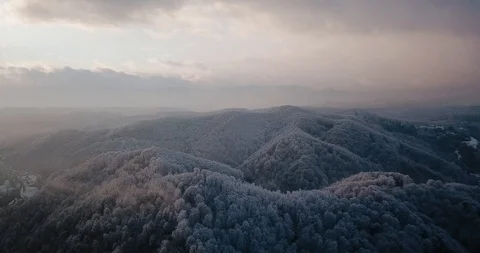 Flying drone over snowy trees in the mountains Stock Footage 122602848