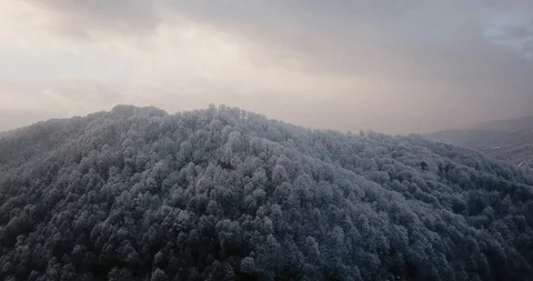 Flying drone over snowy trees in beautiful mountains Stock Footage 122602940